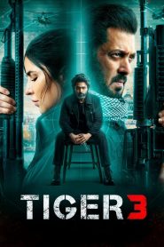 Yify Tiger 3 2023