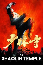 Yify Shaolin Temple 1982