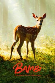 Yify Bambi: A Life in the Woods 2024