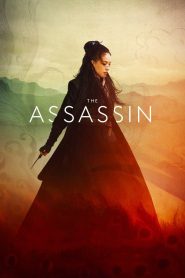 Yify The Assassin 2015