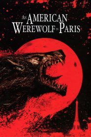 Yify An American Werewolf in Paris 1997