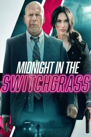 Yify Midnight in the Switchgrass 2021