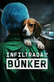 Yify Undercover. Inside the Bunker 2025