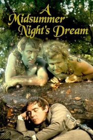 Yify A Midsummer Night’s Dream 1968