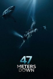 Yify 47 Meters Down 2017