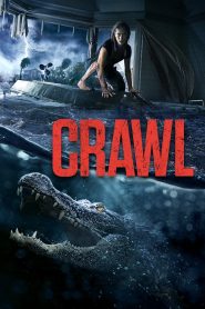 Yify Crawl 2019