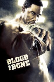Yify Blood and Bone 2009