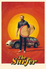 Yify The Surfer 2025