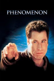 Yify Phenomenon 1996
