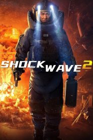 Yify Shock Wave 2 2020