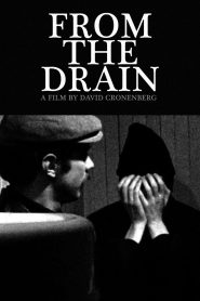 Yify From the Drain 1967