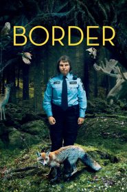 Yify Border 2018