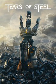 Yify Tears of Steel 2012