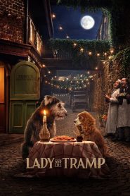 Yify Lady and the Tramp 2019