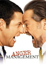 Yify Anger Management 2003