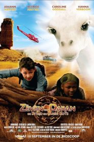 Yify The Seven of Daran: Battle of Pareo Rock 2008