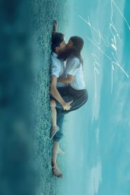 Yify Little Blue 2022