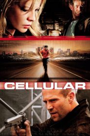 Yify Cellular 2004
