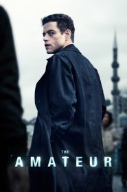 Yify The Amateur 2025
