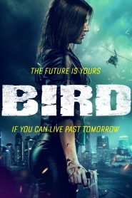 Yify Bird 2020