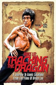 Yify Bruce Lee: Tracking the Dragon 2016