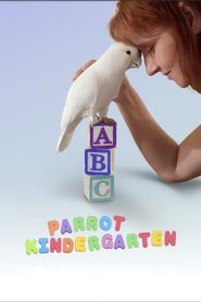 Yify Parrot Kindergarten 2025