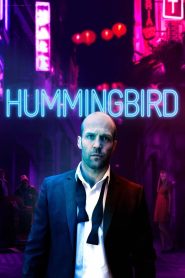 Yify Hummingbird 2013