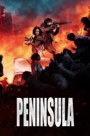 Yify Peninsula 2020
