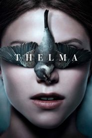 Yify Thelma 2017