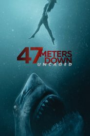 Yify 47 Meters Down: Uncaged 2019