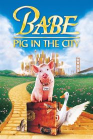 Yify Babe: Pig in the City 1998