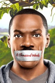 Yify A Thousand Words 2012