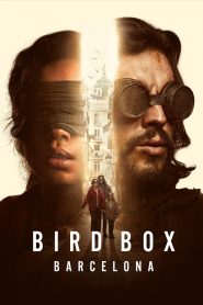 Yify Bird Box Barcelona 2023