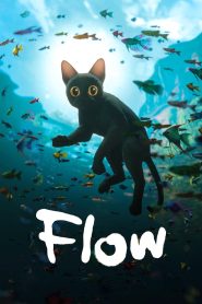Yify Flow 2024