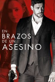 Yify In the Arms of an Assassin 2019