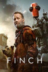 Yify Finch 2021