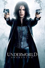 Yify Underworld: Awakening 2012