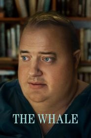 Yify The Whale 2022