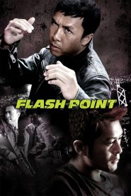Yify Flash Point 2007