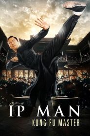 Yify Ip Man: Kung Fu Master 2019