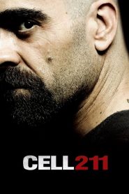Yify Cell 211 2009