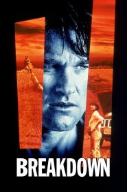 Yify Breakdown 1997