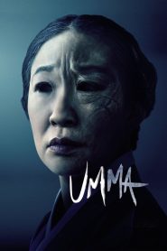 Yify Umma 2022