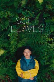 Yify Soft Leaves 2025