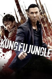 Yify Kung Fu Jungle 2014