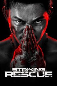 Yify Striking Rescue 2024