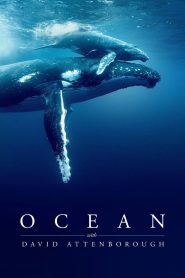Yify Ocean with David Attenborough 2025