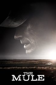 Yify The Mule 2018