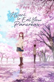 Yify I Want to Eat Your Pancreas 2018