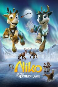 Yify Niko: Beyond the Northern Lights 2024